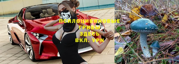 шишки Киренск