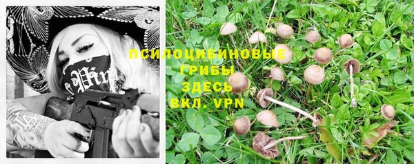 шишки Киренск