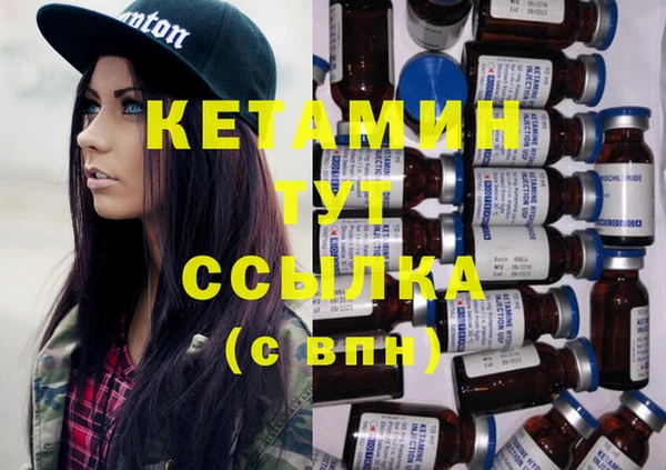 гидра Кодинск